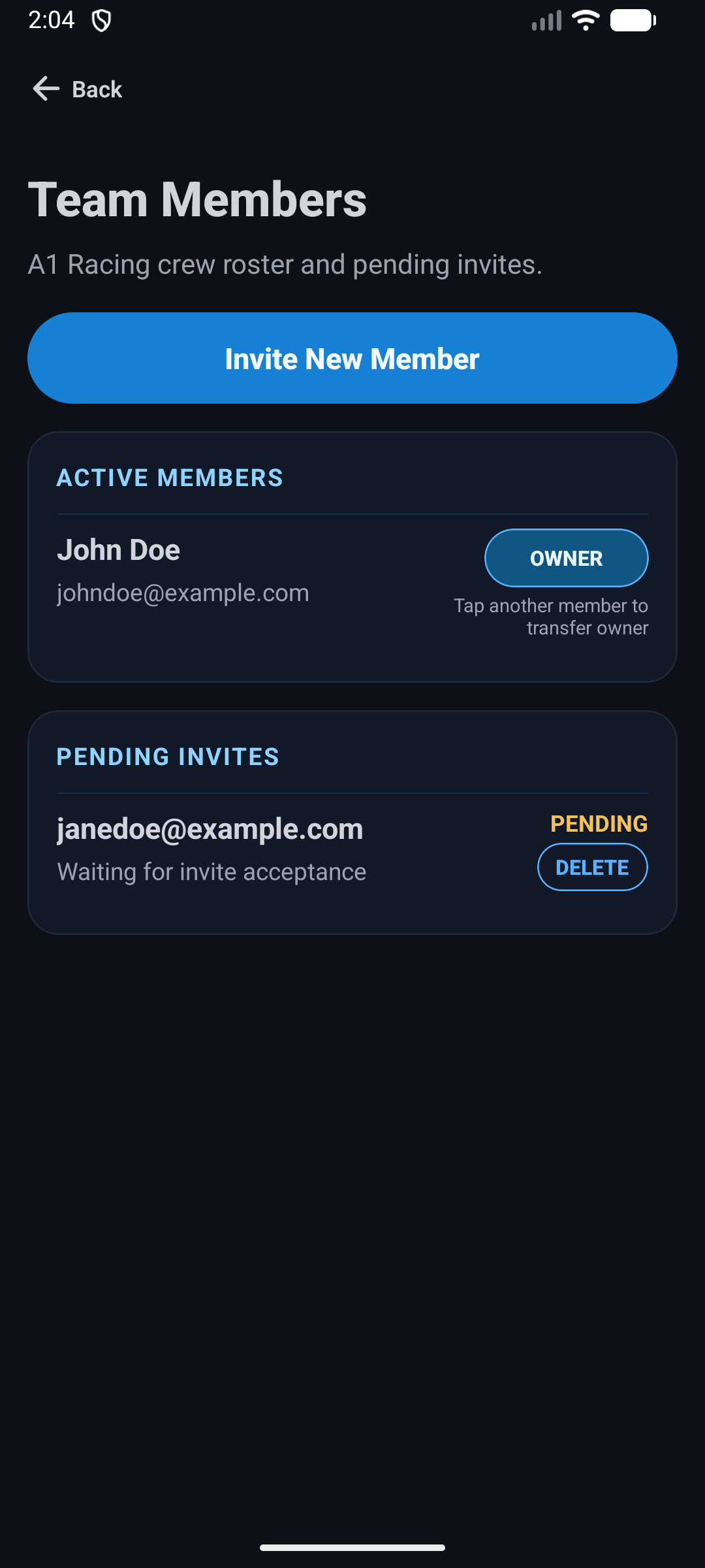 Precision Pit team management screenshot